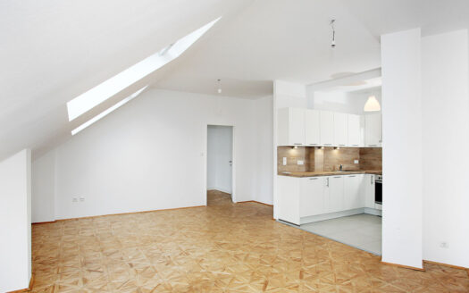 Wohnzimmer mit Küche